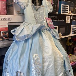 Cinderella Costume