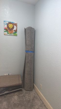 Carpet 8’6 x 6’10 ft