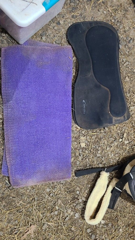 Saddle Pads, Bareback Saddle, Saddle Bags