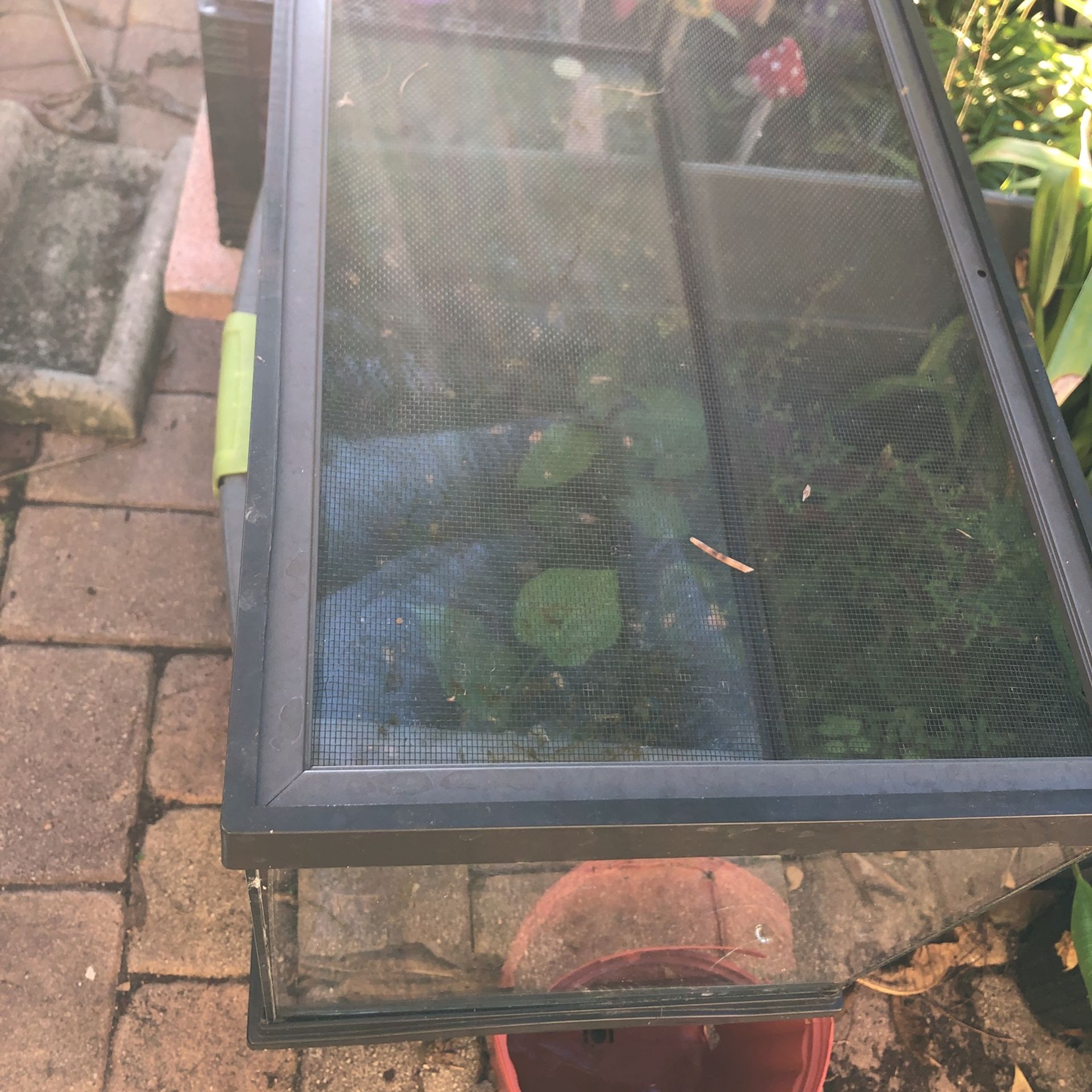 Aquarium For Reptiles Or Amphibians