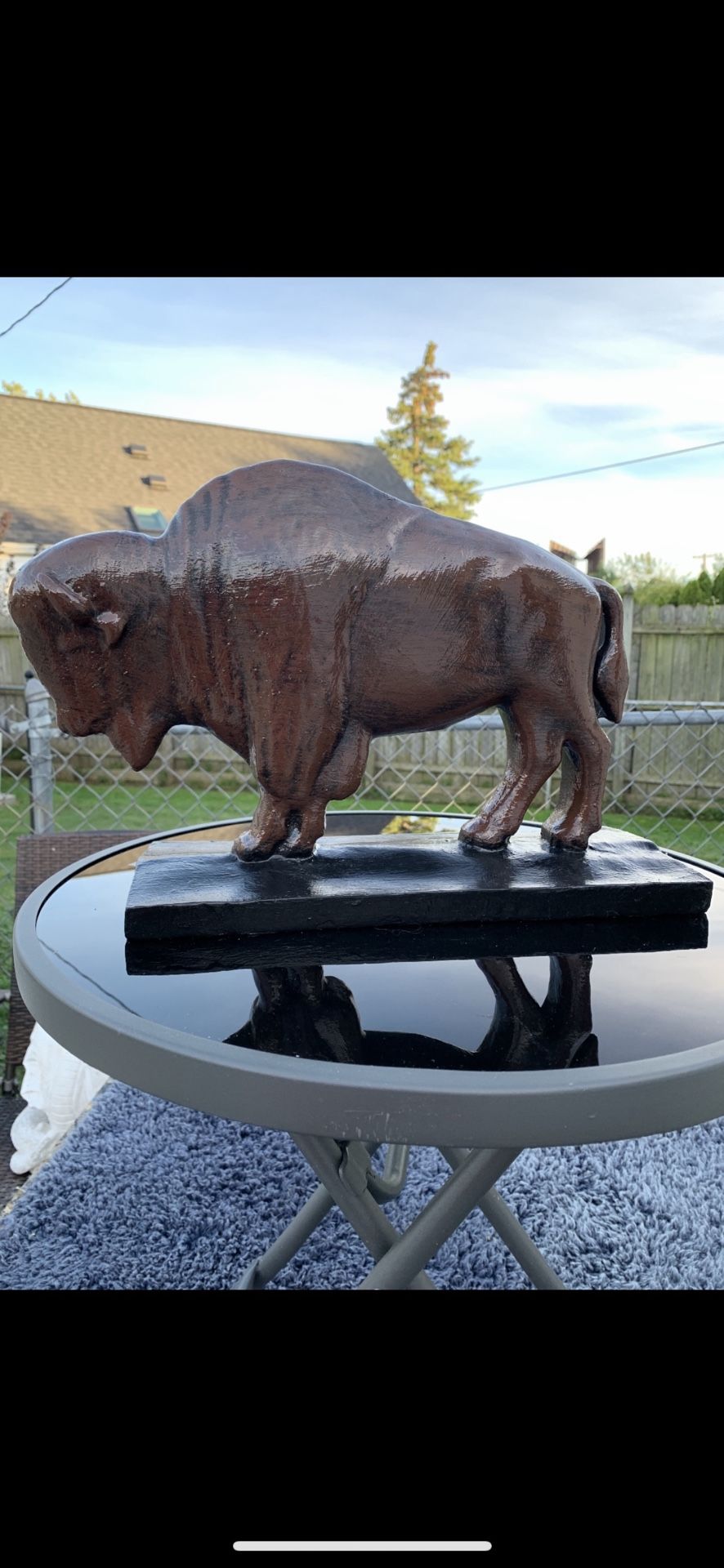 The Classic Brown Buffalo