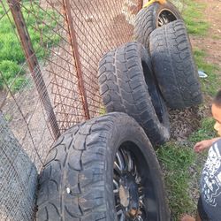 Set De Rines 20 6 Vorlos