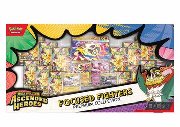 Ascended Heroes Focused Fighters