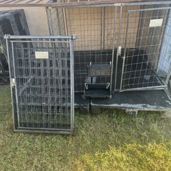 Dog Kennel 