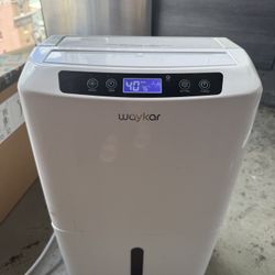Waykar Dehumidifier 
