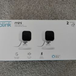 Mini Camera - Blink