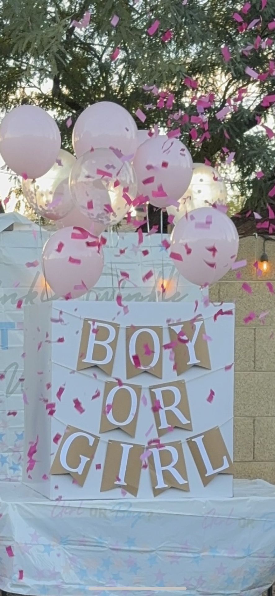 Gender Reveal Box