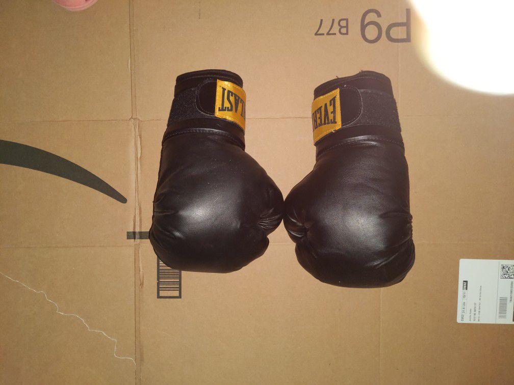 Everlast 14 Oz Boxing Gloves