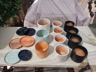 6 And 8 Inch Pots