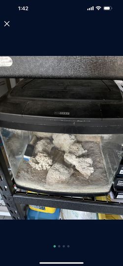 BioCube 29 Gallon Salt Water Fish Tank