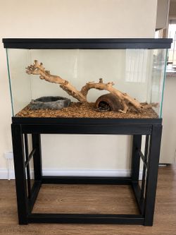 Ball Python Terrarium