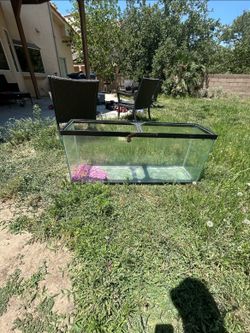 55 Gallon Glass Aquarium Tank