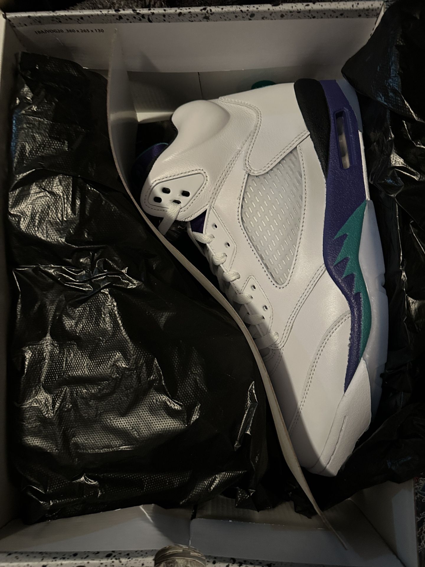 Air Jordan 5 Grape Size 12