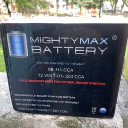 Mighty Max Battery 12volt