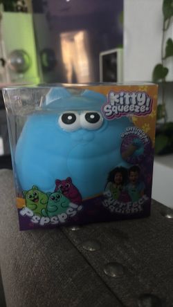 Kitty squishy