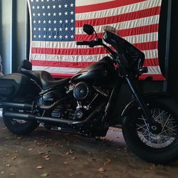 2019 Harley davidson Flsl