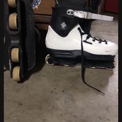 Pro Skates By Sway Team 57