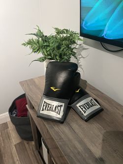 brand new boxing gloves