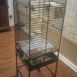 Bird+Built Cage