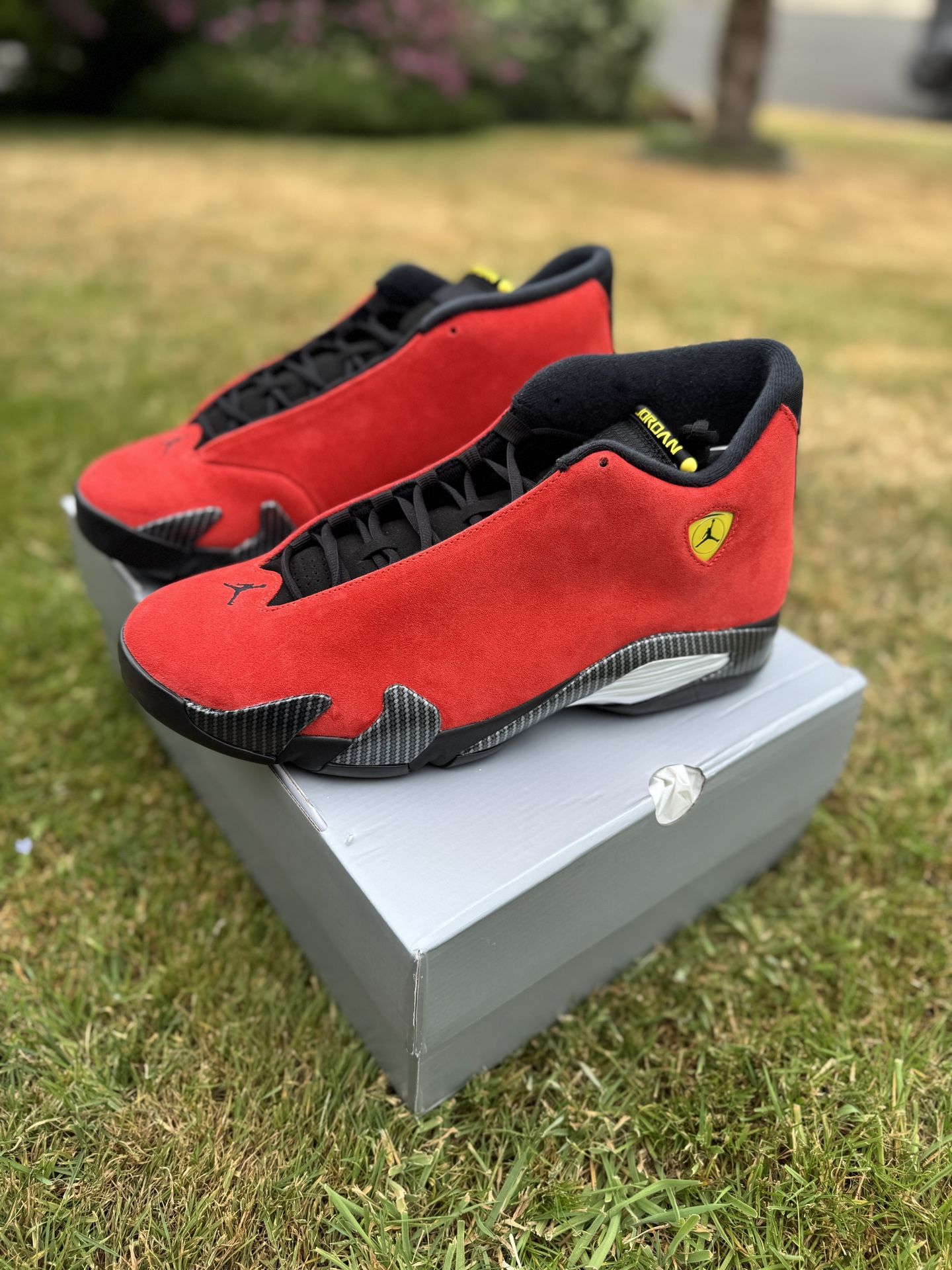 Jordan 14 Retro