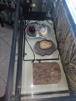 40-gallon breeder-style reptile enclosure