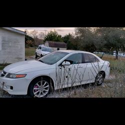 2008 Acura TSX 