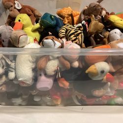 Lot of Beanie Babies