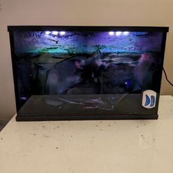 Fish Tanks With Dual Split And Filter Included