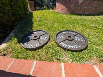 Olympic barbell 45 lb weight plates