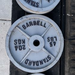 Weights (plates) 255lbs