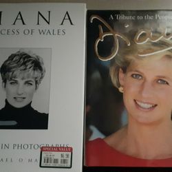2 Really Nice Princess Diana Hardback Books