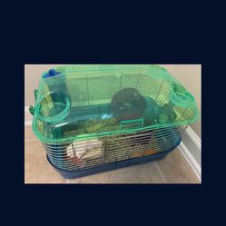 Hamster House & Accessories 