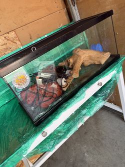 Reptile Tank-