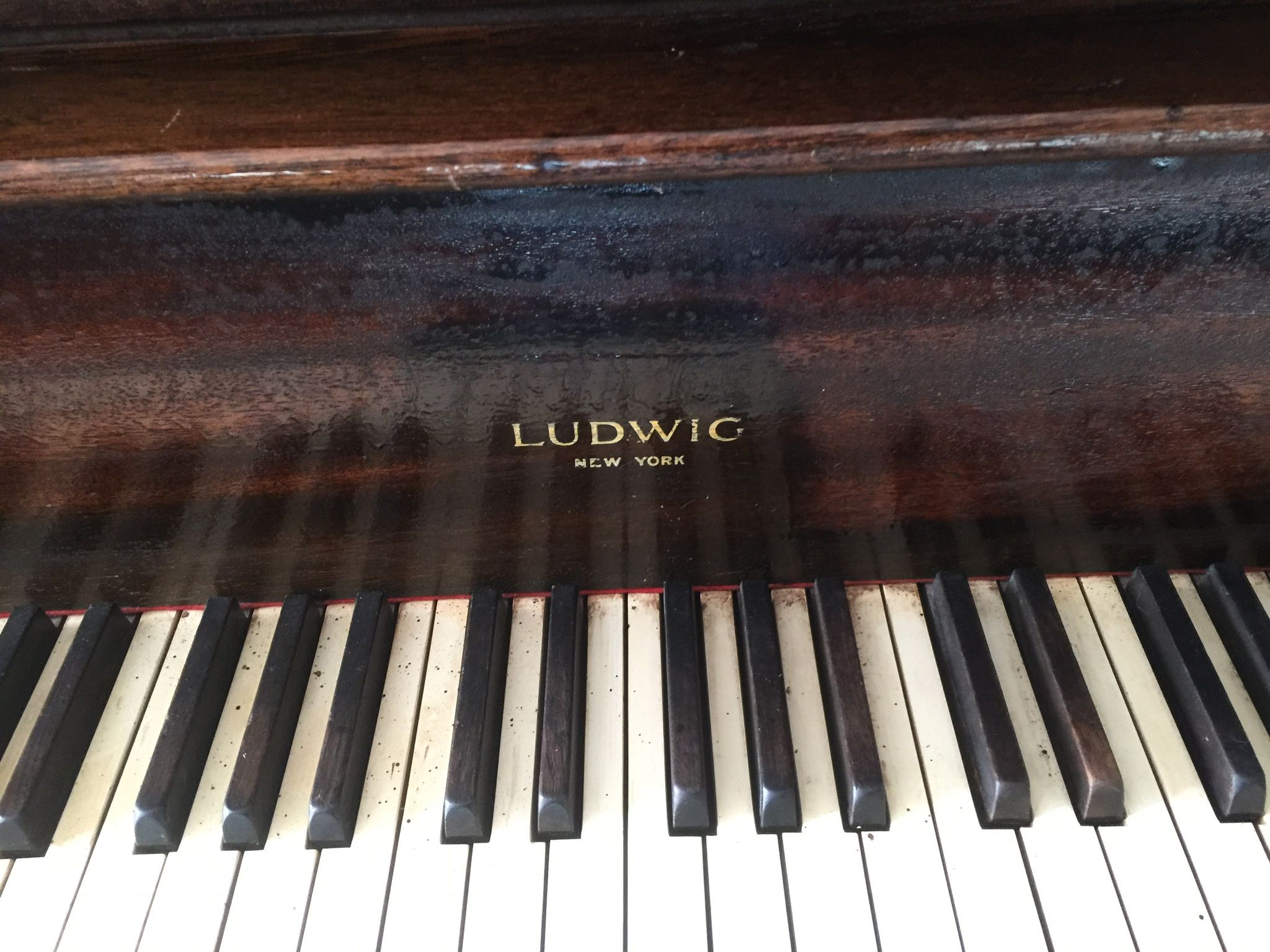 Baby Grand