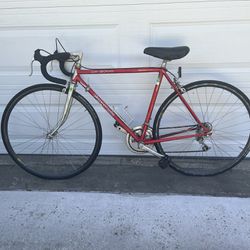 Women’s Petite Red Panasonic Road Bike 32”