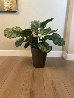 31” Faux Calathea Orbifolia Plant Tree w/ Metal Planter Pot
