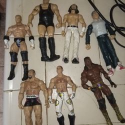 Wwe Action Figures 