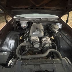 5.3 LS