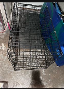 Cage L