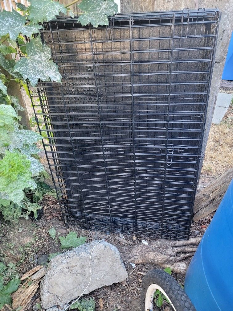 Large Dog Kennel