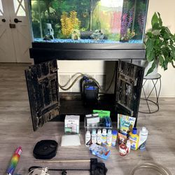 55 Gallon Fish Tank 