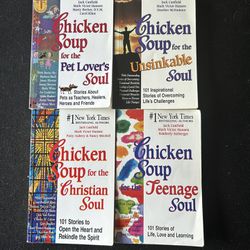 Chicken Soup Book Lot