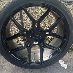 24 In Giovanni Haleb