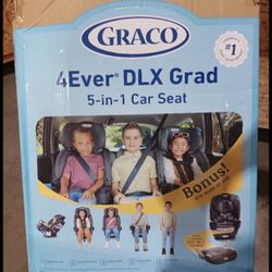 Graco 4Ever DLX Grad 5-in-1 Car Seat