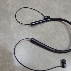 Bluetooth  Headphones Asking 15   no charger