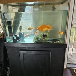 Fish Tank And Stand