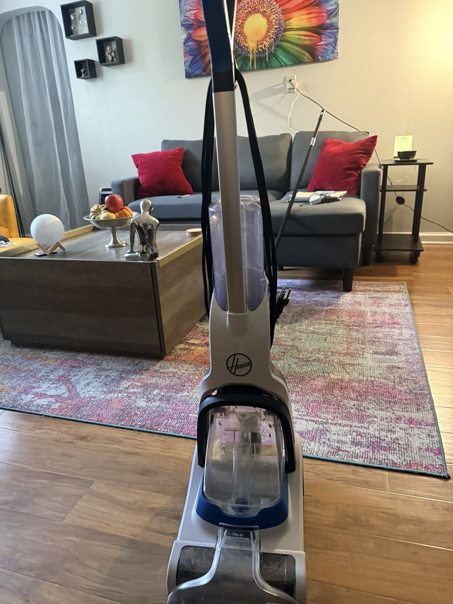 Small Carpet Shampooed