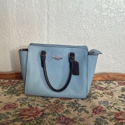 Baby Blue Coach Bag