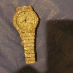 Iced Out Watch (Diamonds Arnt Real)