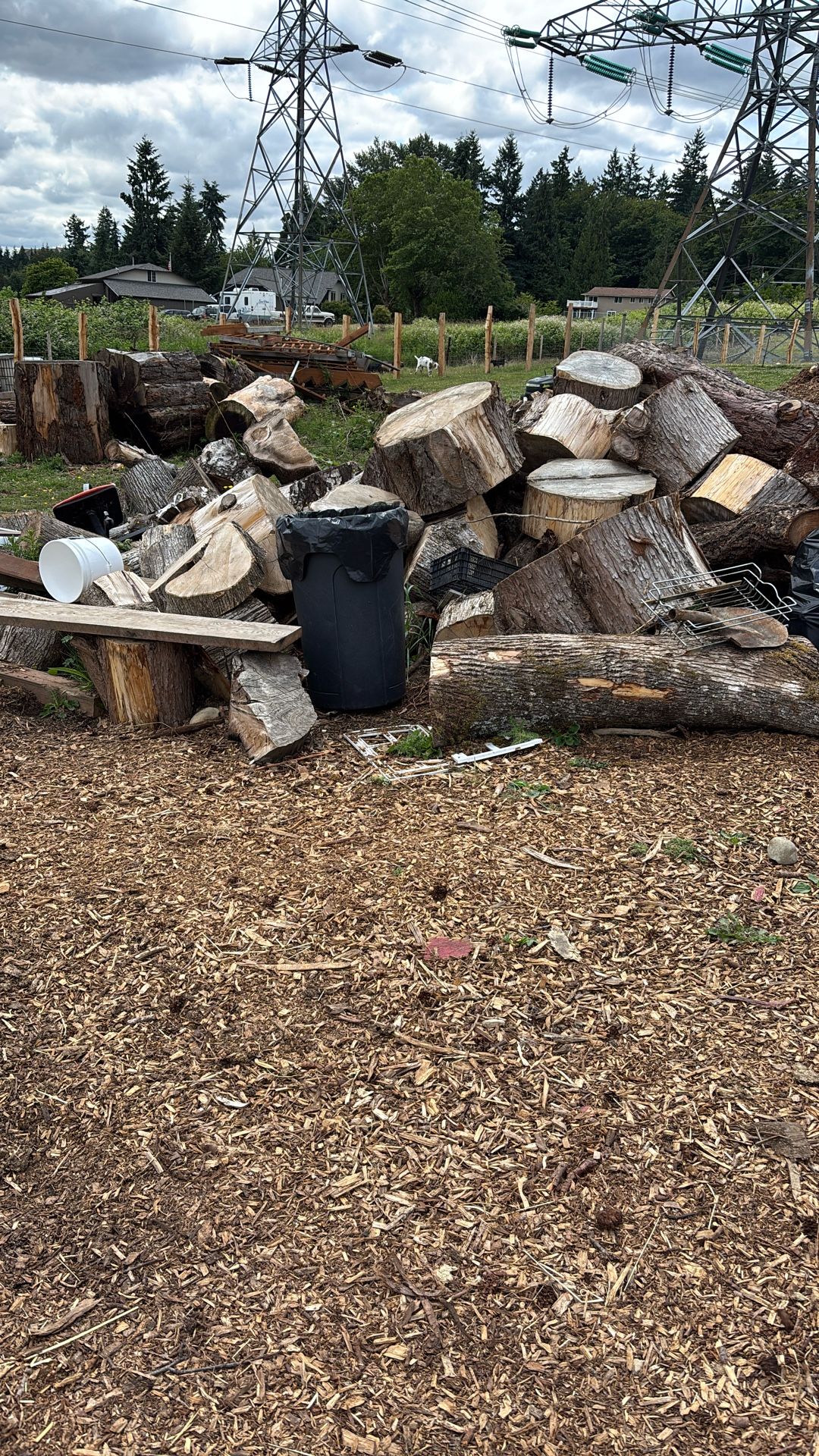 Free Firewood